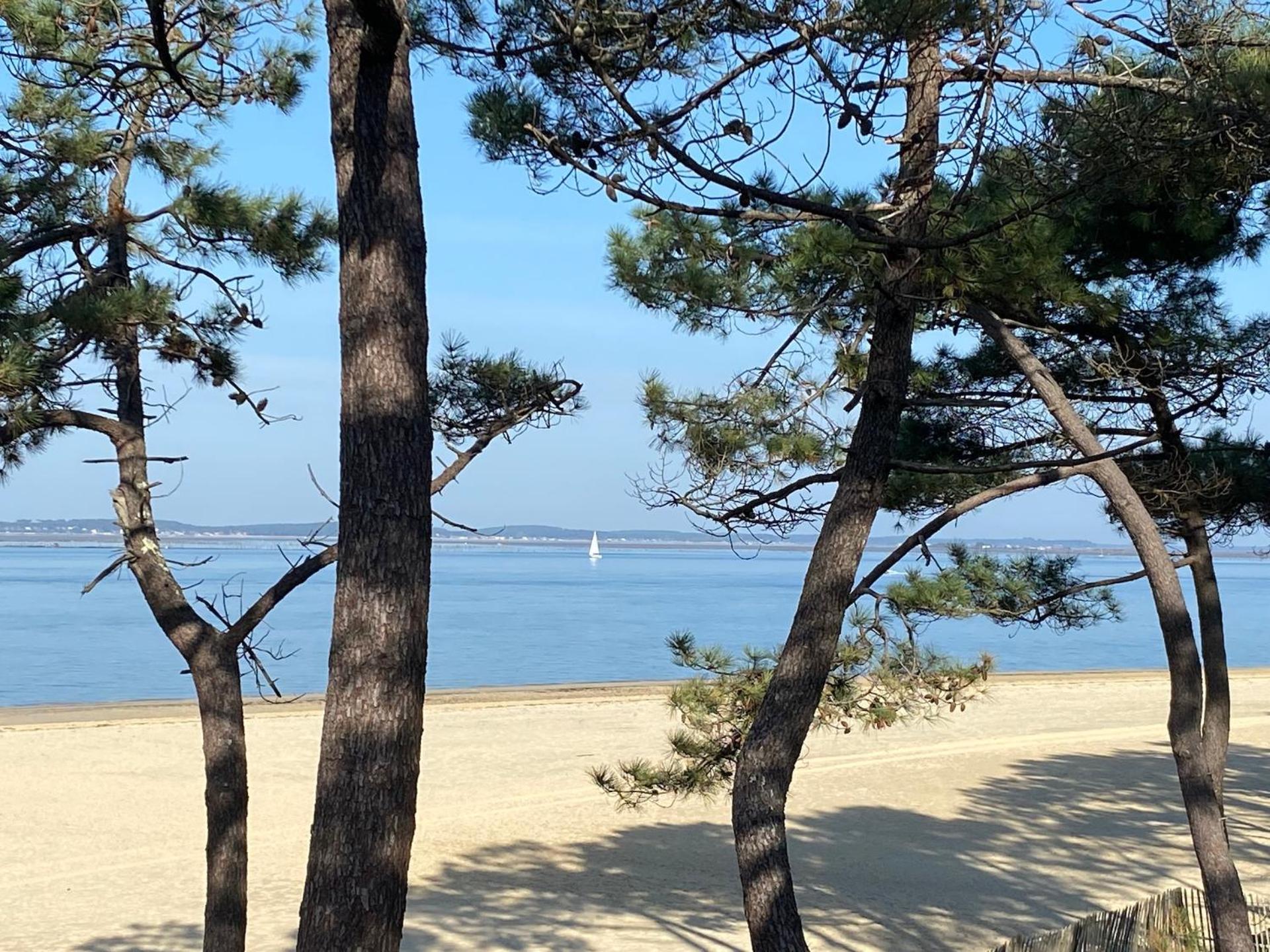 Charme & Confort- Les Cottages Du Bassin D'Arcachon- Petit-Dejeuner Sur Demande - Nuitee, Court Sejour, Semaine Gujan-Mestras Buitenkant foto