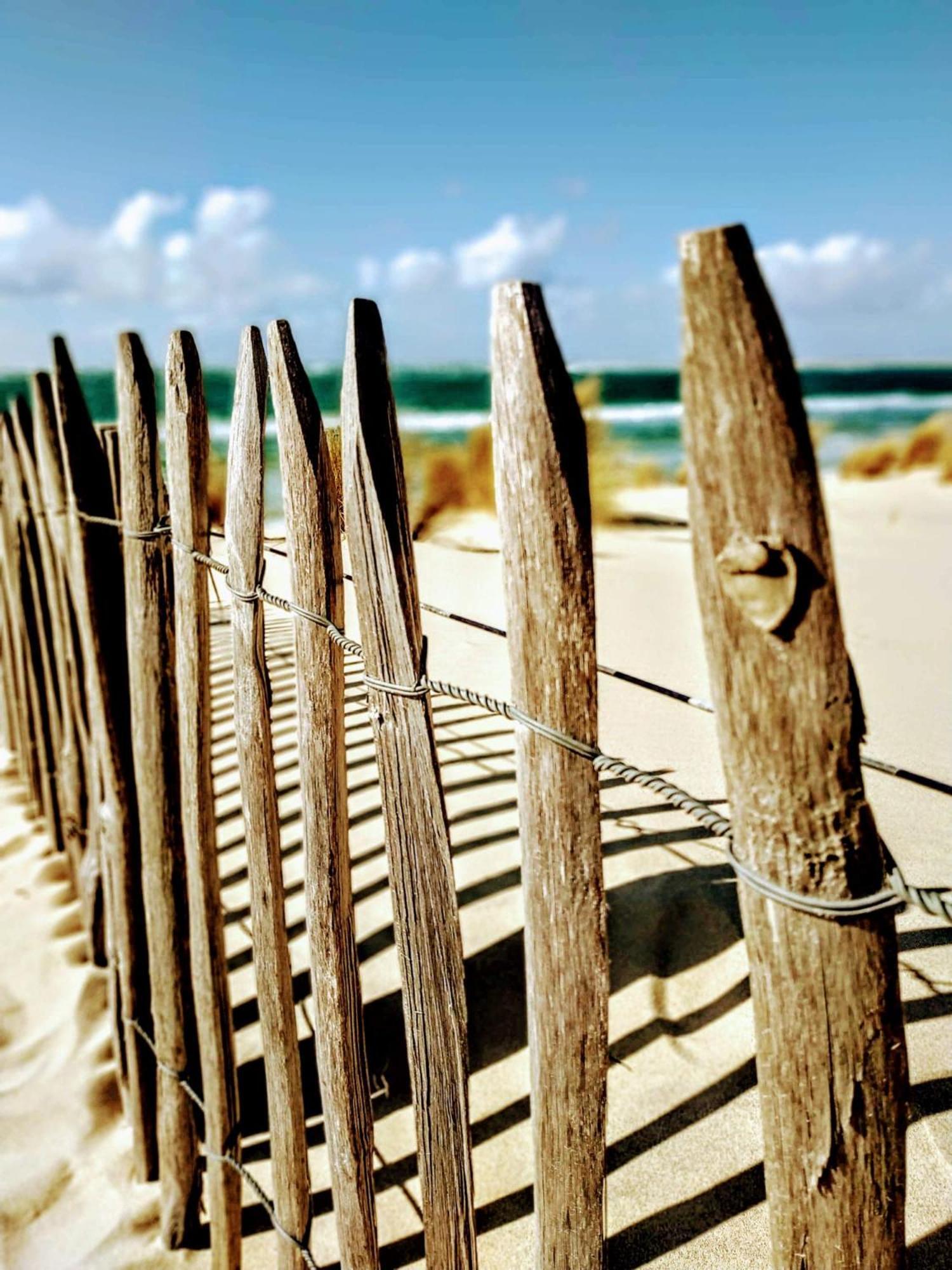 Charme & Confort- Les Cottages Du Bassin D'Arcachon- Petit-Dejeuner Sur Demande - Nuitee, Court Sejour, Semaine Gujan-Mestras Buitenkant foto